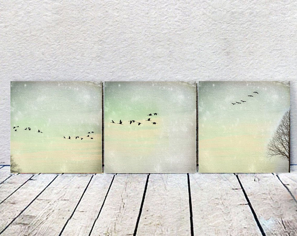 Miniaturbild: kraniche zugvögel herbstzeit 3er set landhausstil vintage style shabby chic wandbild auf holz wohnzimmer günstig kaufen