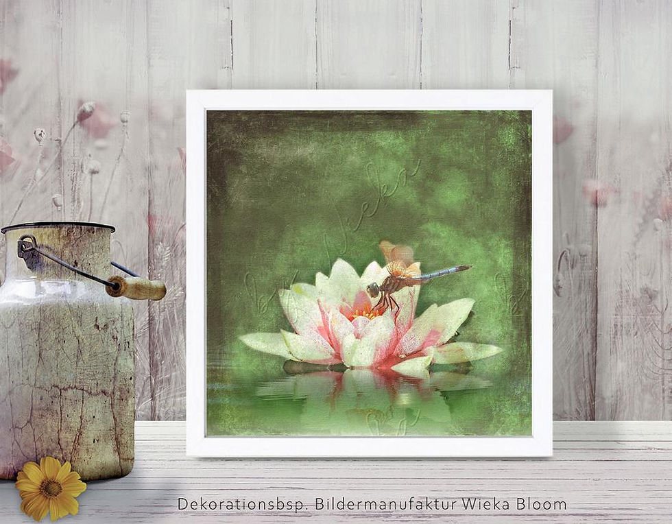 flügeltiere, unstdruckk libelle auf seerose im landhausstil günstig kaufen