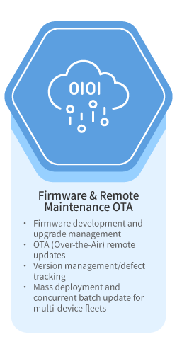 SoftwareService-01-03EN.png