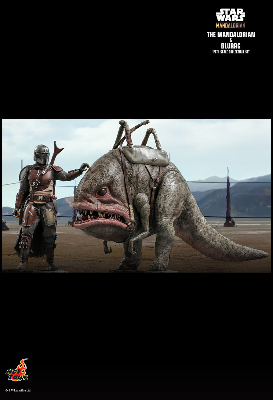 Thumbnail: The Mandalorian and Blurgg - Star Wars The Mandalorian - Hot Toys