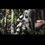Thumbnail: Scout Trooper - Star Wars - Hot Toys
