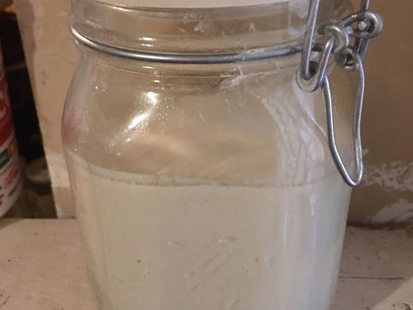 Sourdough Starter - Wheat Flour