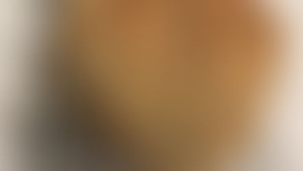 Iconic Italian Bread