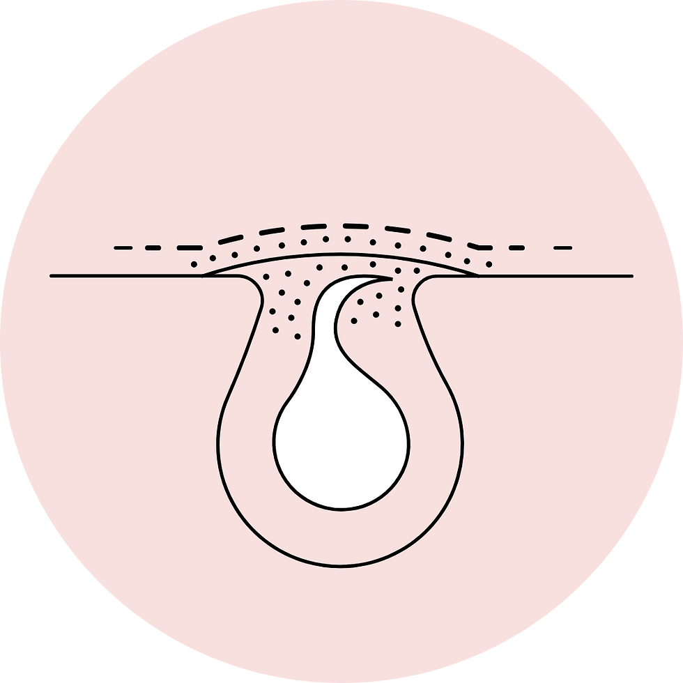 Sesión 6