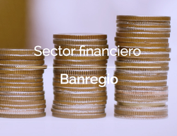 Sector Financiero