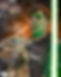 starwars project copy - Copy.jpg