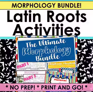 morphology bundle.avif