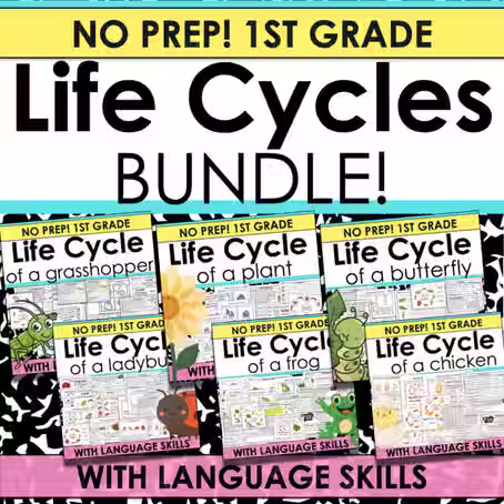 First Grade Life Cycles Activities: Hands-On Science & Literacy Materials Your Students Will Love