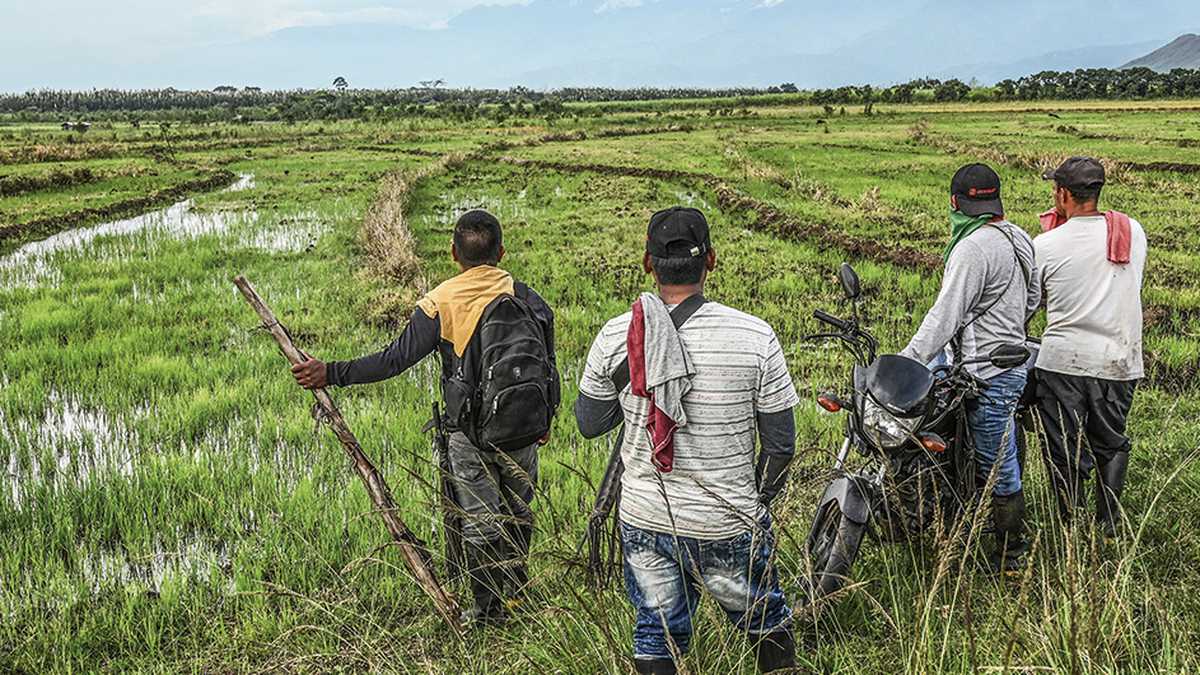 Cerca y portón de un predio rural al amanecer