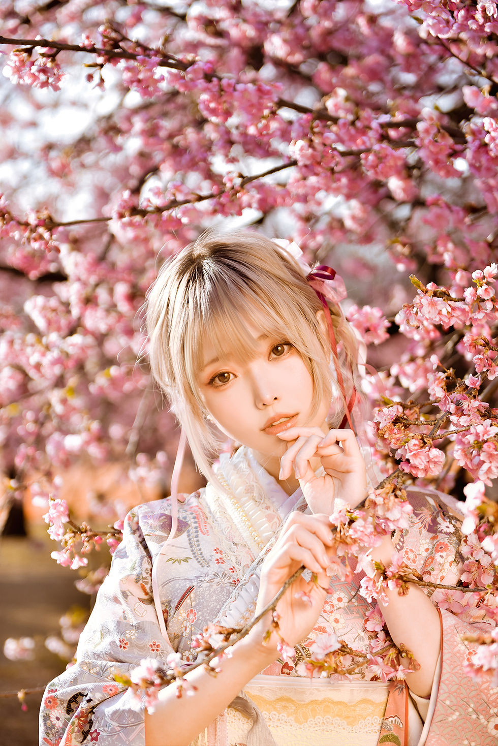 縮圖：Digital【Sakura Full Bloom】 櫻滿開