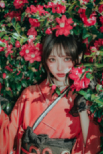 Digital【Red Furisode Tsubaki】紅樁和裝