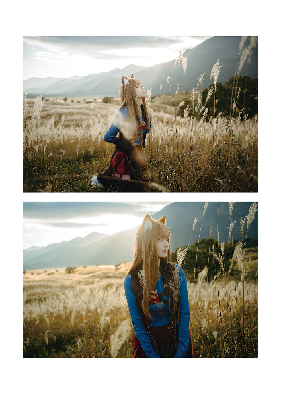 縮圖：Photobook -【Wolf and the Song of the Meadow】狼と草原の詩