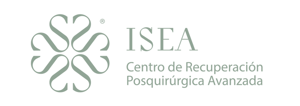 Isea Combination Mark + Tagline_H Green.PNG