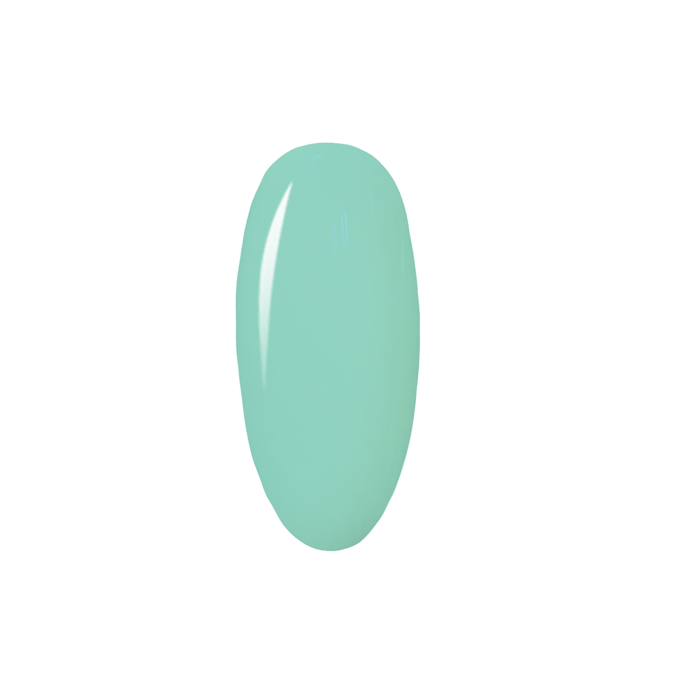 Gel polish Basic Line nr 20