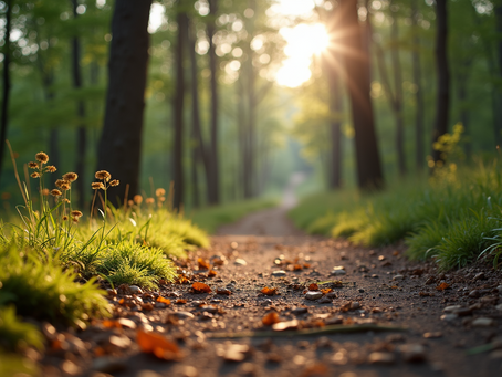 Debunking the Happiness Myths That Contribute to Our Unhappiness
