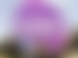 הבנת אזוספרמיה ורמות טסטוסטרון נמוכות: גורמים, תסמינים ופתרונות