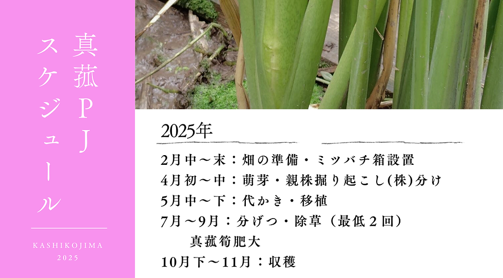 真菰PJスケジュール.png