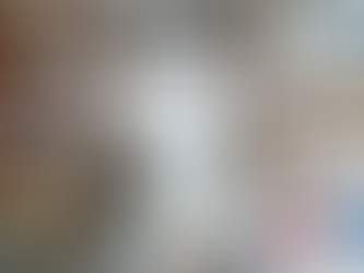 Distribución Nacional de Insumos Médicos y Medicamentos en México