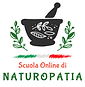 Progetto senza titolo (14).png
