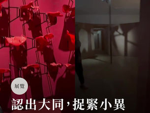 認出大同,捉緊小異