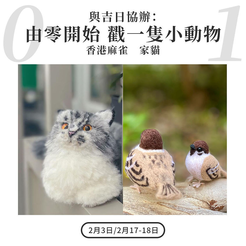 由零開始 戳一隻小動物(家貓)