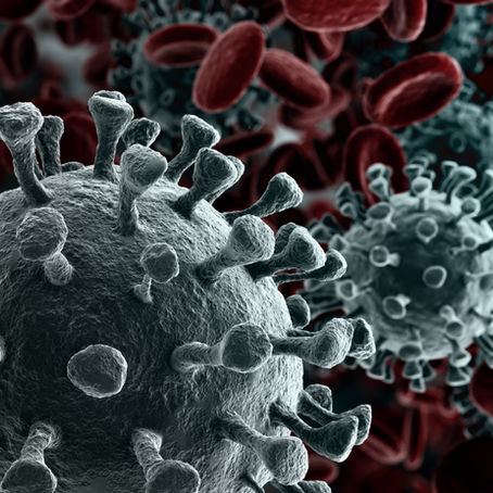 The ultimate weapon against Covid19?: Understanding