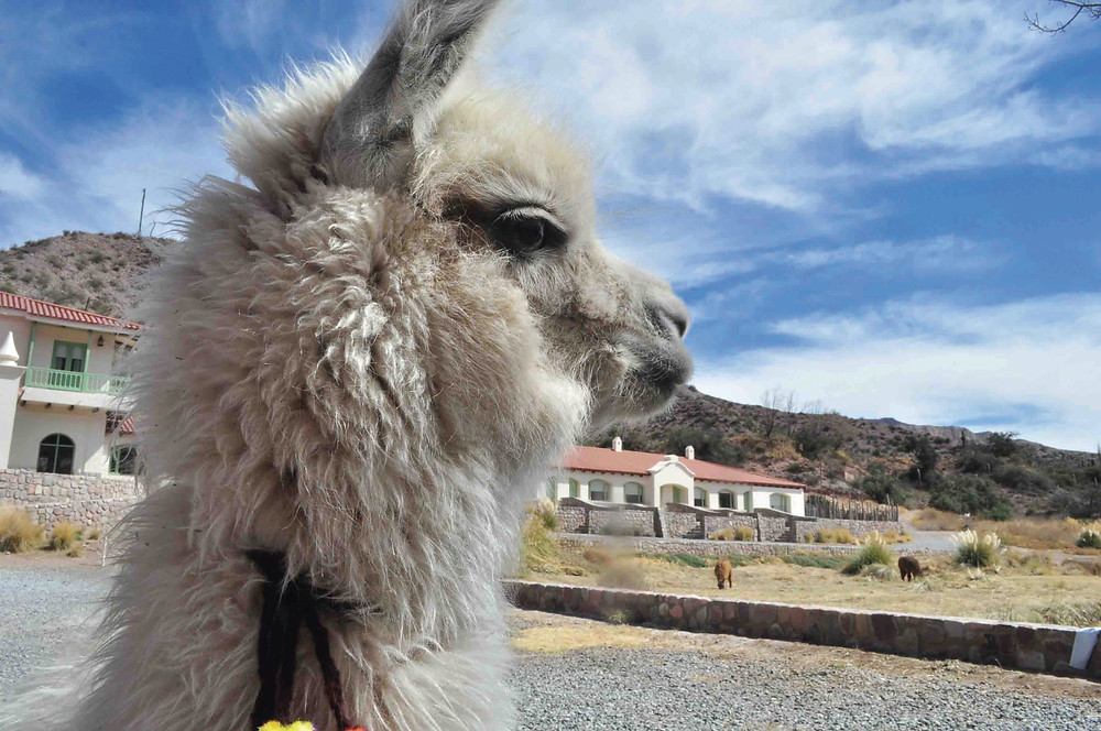 Best places to visit in argentina