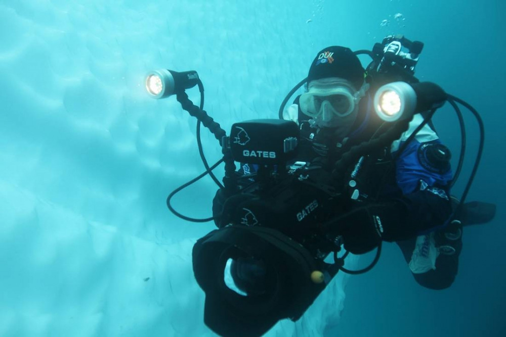Things to do in Antarctica