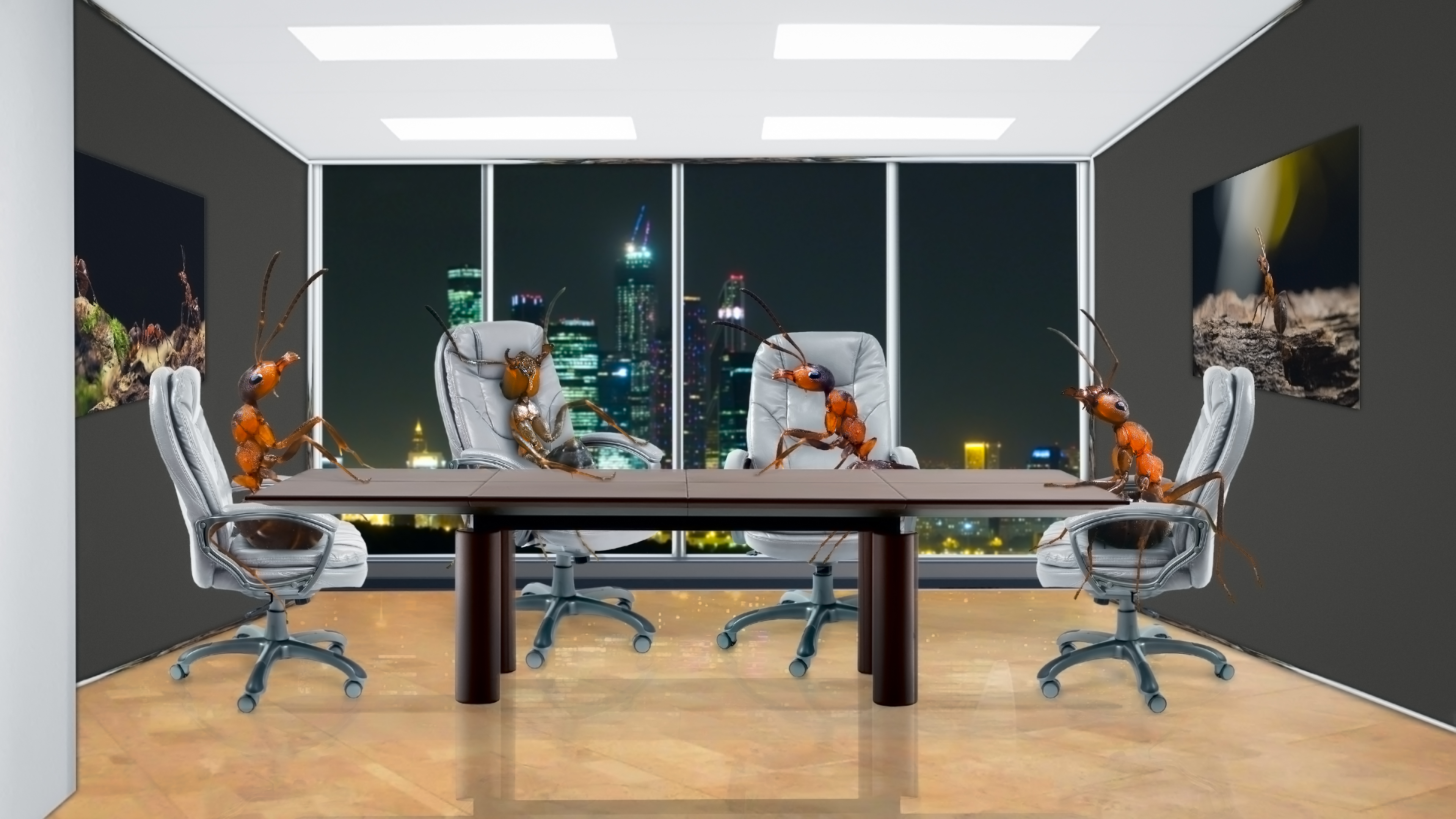 Image from the original IJK article