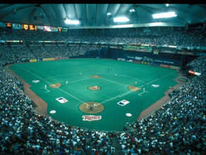 The Hubert H. Humphrey Metrodome