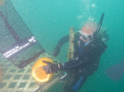 14711129_10210893171073188_3963950024282633909_o