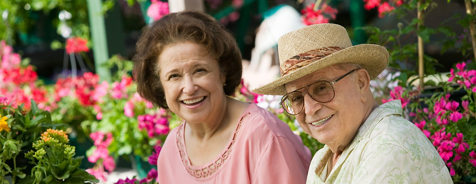 We provide safe and secure home for seniors