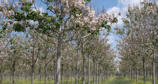 Screen shot 2013-08-16 at 10.03.18 AM.png