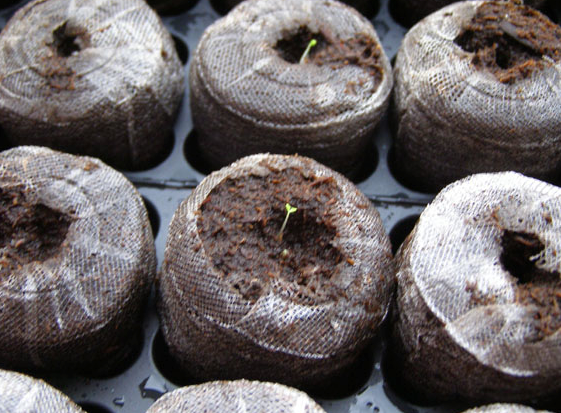 Screen shot 2013-08-16 at 10.21.12 AM.png