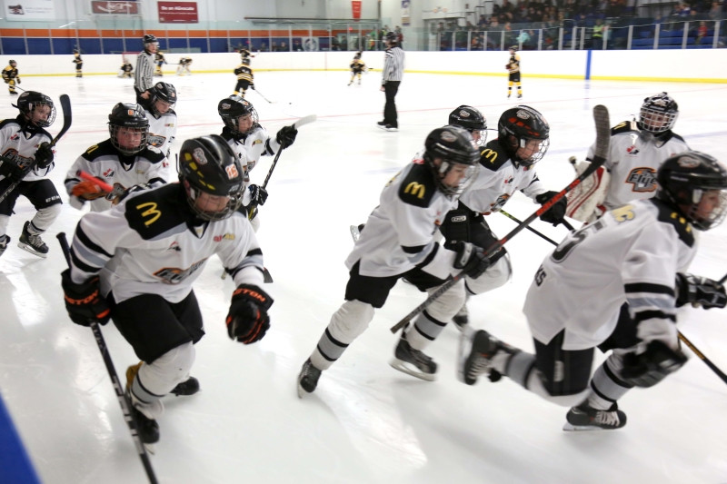 High Level Shinny Hockey Rebellion Hockey High Level Shinny Hockey Rebellion Hockey