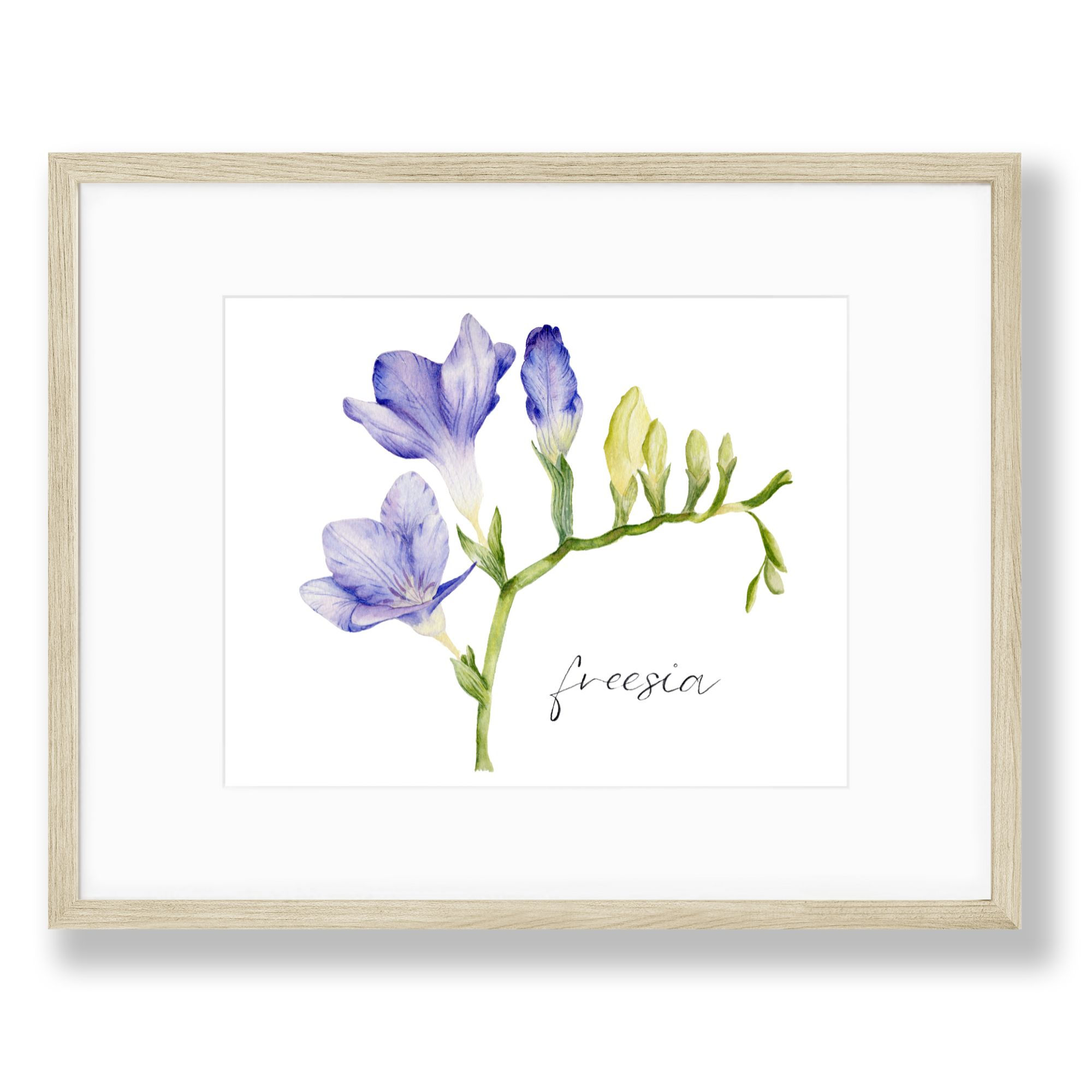 Purple Freesia Watercolour Art Print