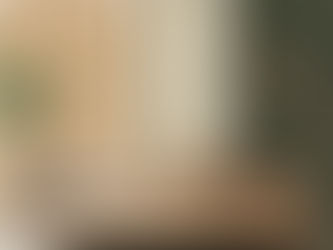 Collection of bold prints wallpaper