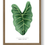 Thumbnail: Alocasia Leaf Watercolour Art Print