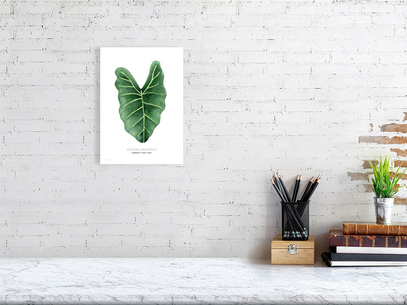 Thumbnail: Alocasia Leaf Watercolour Art Print