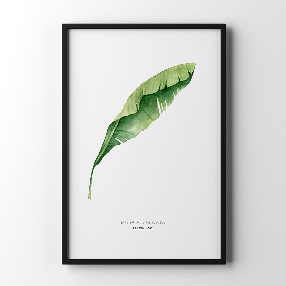 Banana Leaf Watercolour Art Print