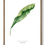Thumbnail: Banana Leaf Watercolour Art Print