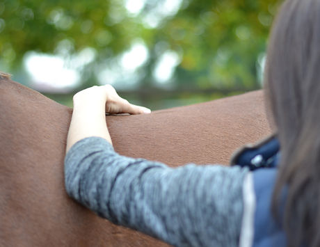 Behandlung Kissing Spines Pferd
