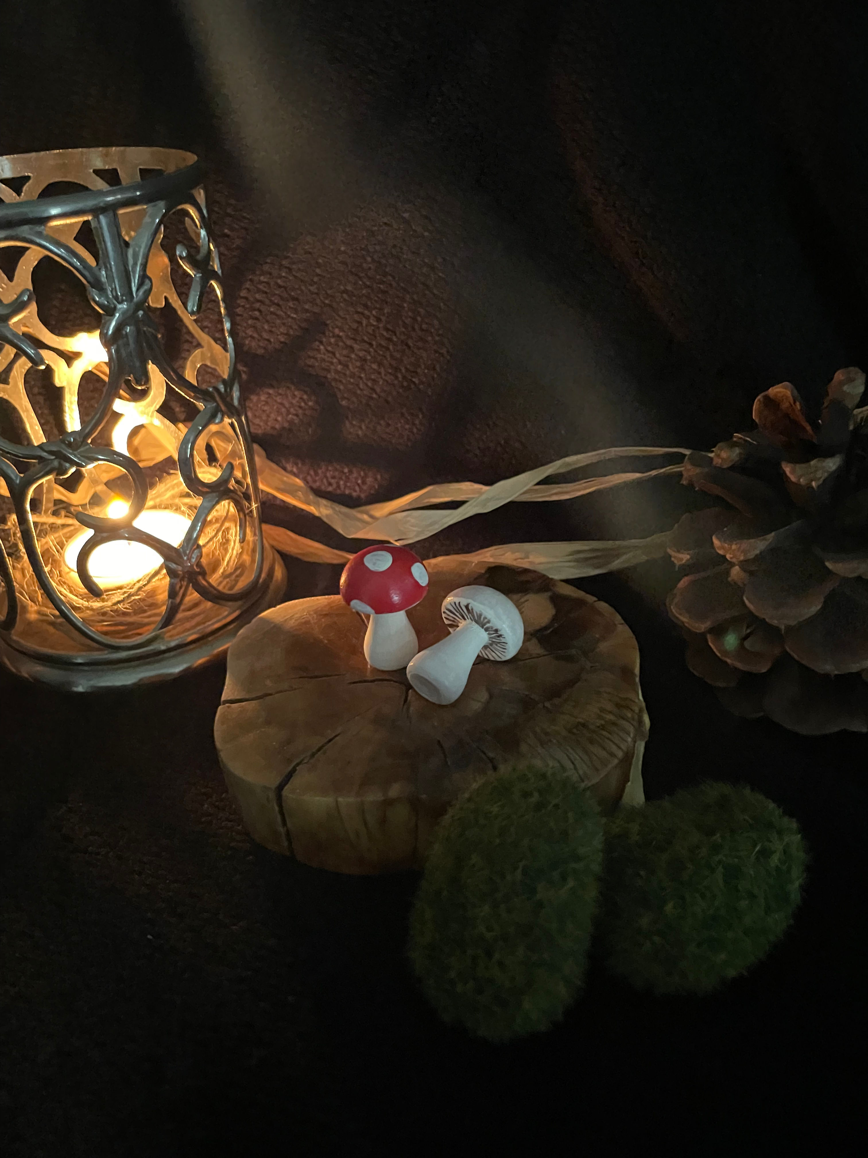 Samhain Protection Cleansing Spelled Mushrooms