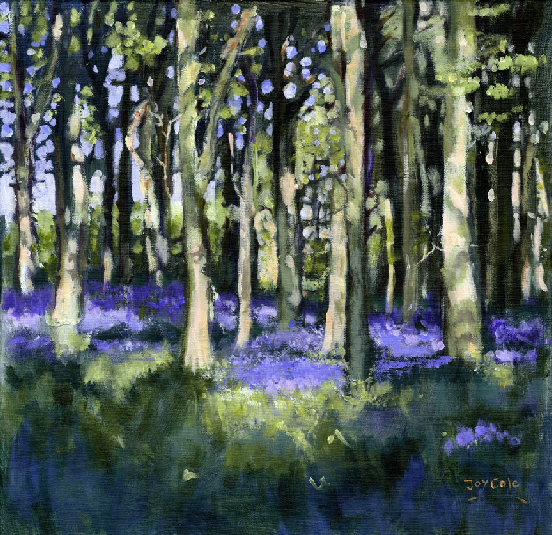 Bluebell Wood