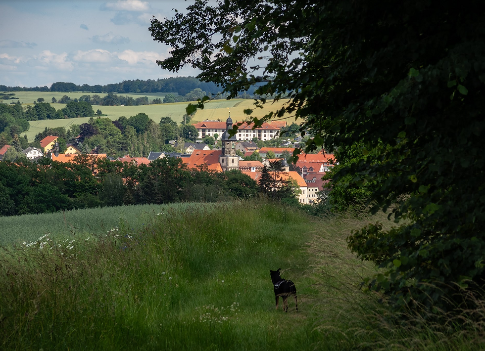 Charly und der Dippser Kirchturm