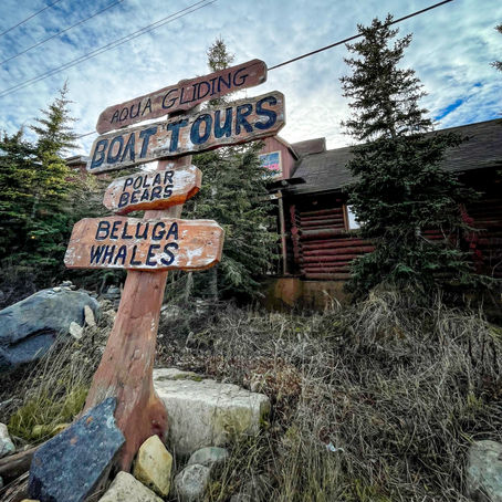 travelling to Churchill Manitoba, the polar bear capital of the world