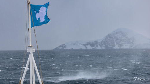 Antarctica antarctic peninsula cruise
