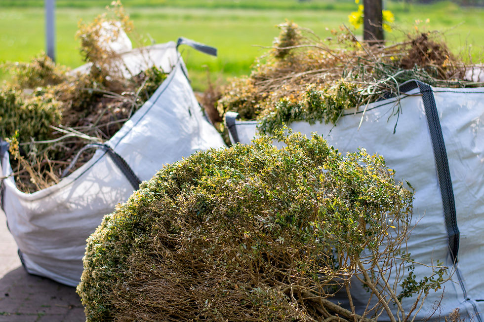 branches and debris in tote bags