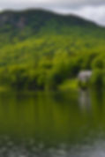 Back Lake sits within the mountains of Pittsburg, NH