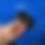 Thumbnail: Ryder